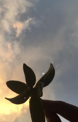 [Mai Hậu] Vào hạ