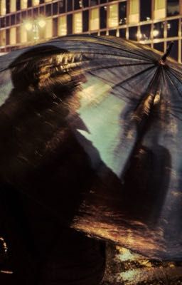 marhoon | milk & bones