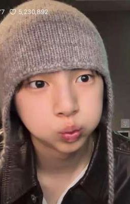 Marhoon | Rùa Và Bạn 