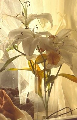 marhoon | Thương Thầm