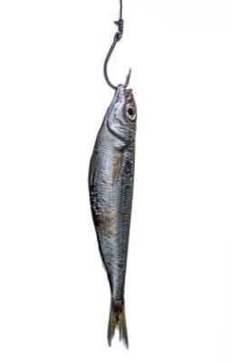 marhyeon | illiac crest