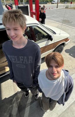 marjames; gõ đầu trẻ trâu