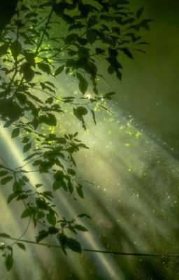 [Marjames] - Tình ta như chiếc lá. 