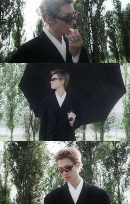 Martin x Y/n : Panacea