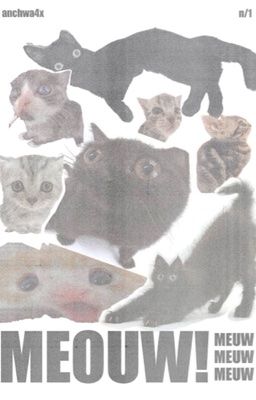 MasonB | bạn Bách bị sao thế