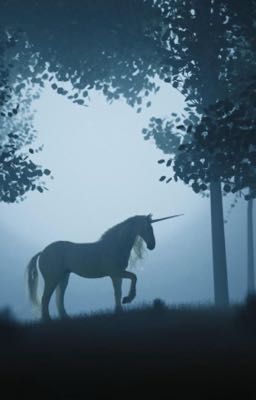 masonb | đơn phương