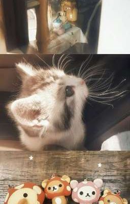 Masonb | Friend with Benefit.