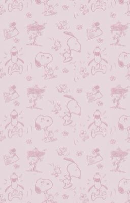 masonb • hà nội