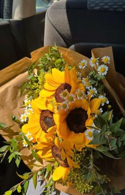 [masonb] minh nguyệt