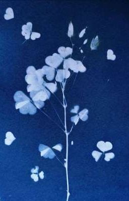 masonb ☆ ngỏ lời.