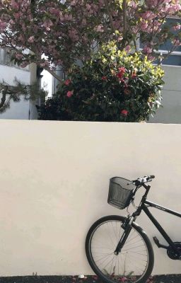 masonb ; ụn ụn rừm rừm