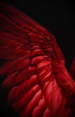 masonb ‎𐙚˚ trùng