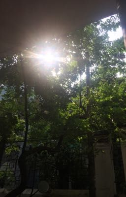 Mẩu Truyện Ngắn Trong Đời