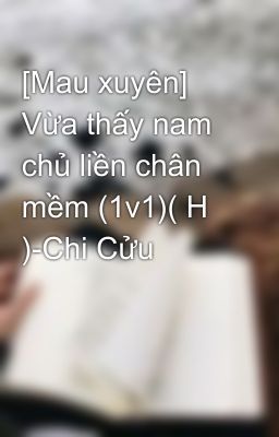 [Mau xuyên] Vừa thấy nam chủ liền chân mềm (1v1)( H )-Chi Cửu