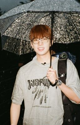 Meanie | Sợi len màu kẹo