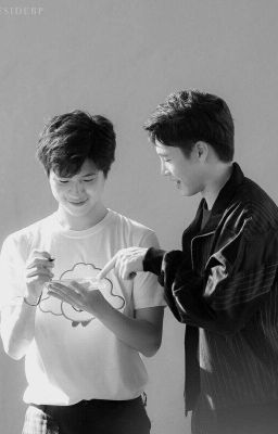 meanplan | cánh hoa rơi