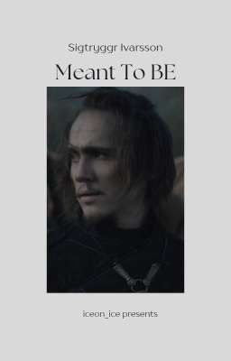 Meant To Be ¦¦ Sigtryggr Ivarsson 