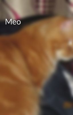 Meo