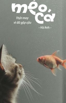 Mèo Cá