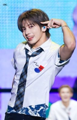 mèo cần iu (alltyun)