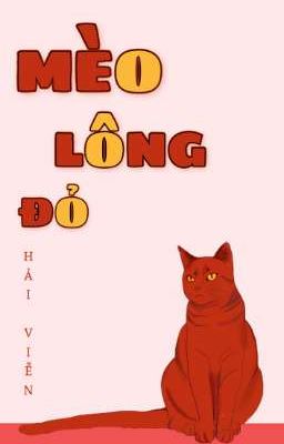 Mèo Lông Đỏ - Hải Viễn