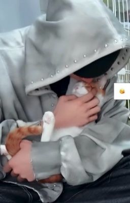 Meow