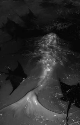 mh; sirène.