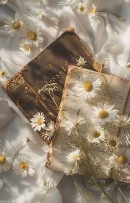 Miền miên viễn || taeguk