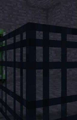 Minecraft: The Spawner