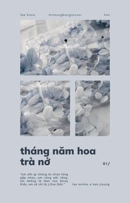 minsung | tháng năm hoa trà nở