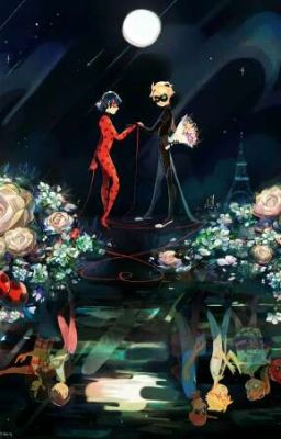 Miraculous Ladybug RP Book