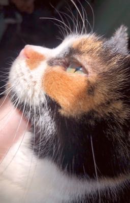 MISSING | Có một người luôn khiến tôi tò mò