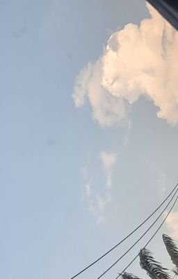 | MỞ | Nơi đu otp của tôi. [ Mega Smp,Cobe,Co-Op,Better Co-Op ]