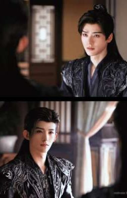 【 Mộ Xương 】Rừng Bạch Dương