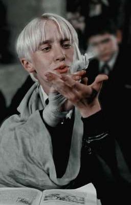 Mọi Người Đều Ngồi Không Yên Sau Khi Nghe Được Tiếng Lòng Của Draco