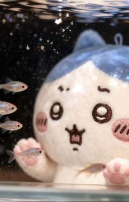 moonchi | thương em không?