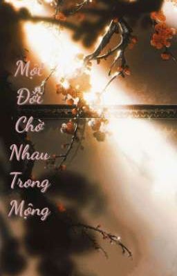 Một Đời Chờ Nhau Trong Mộng