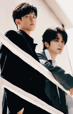 Một giấc mộng dài