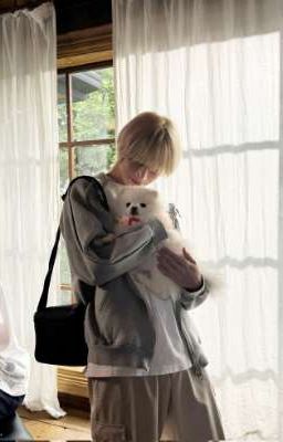 MỘT MỐI TÌNH, MỘT MÓN RIÊNG