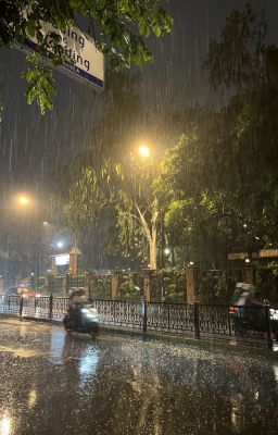 mưa.