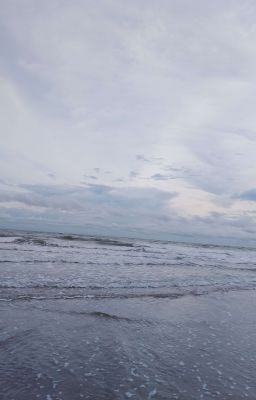 Mùa Hạ Của Sứa 
