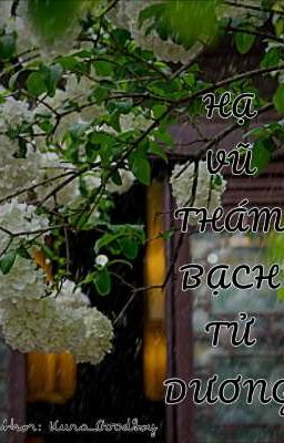 Mưa Mùa Hạ Ghé Thăm Tú Cầu Trắng