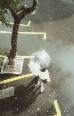 Mưa Rào