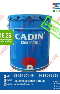 MUA SƠN EPOXY CADIN HỆ LĂN GIÁ RẺ NHẤT CHO SÀN NHÀ XƯỞNG