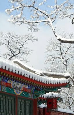 Mùa Tuyết Rơi