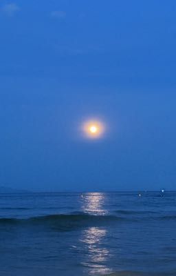 [Muộii x Lamoon] Bờ Mới
