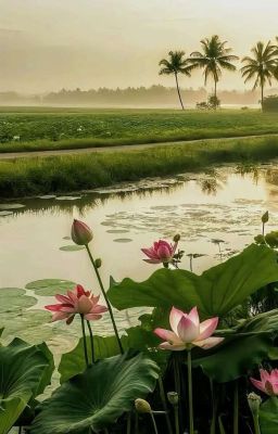 Mượn dải lụa đào vương mảnh tình xưa