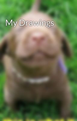 My Drawings