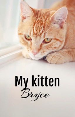 My Kitten Bryce|| BrOhm|| ~Hybrid AU~