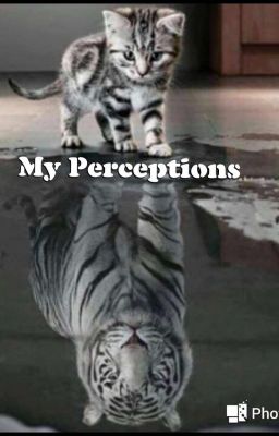 My Perceptions